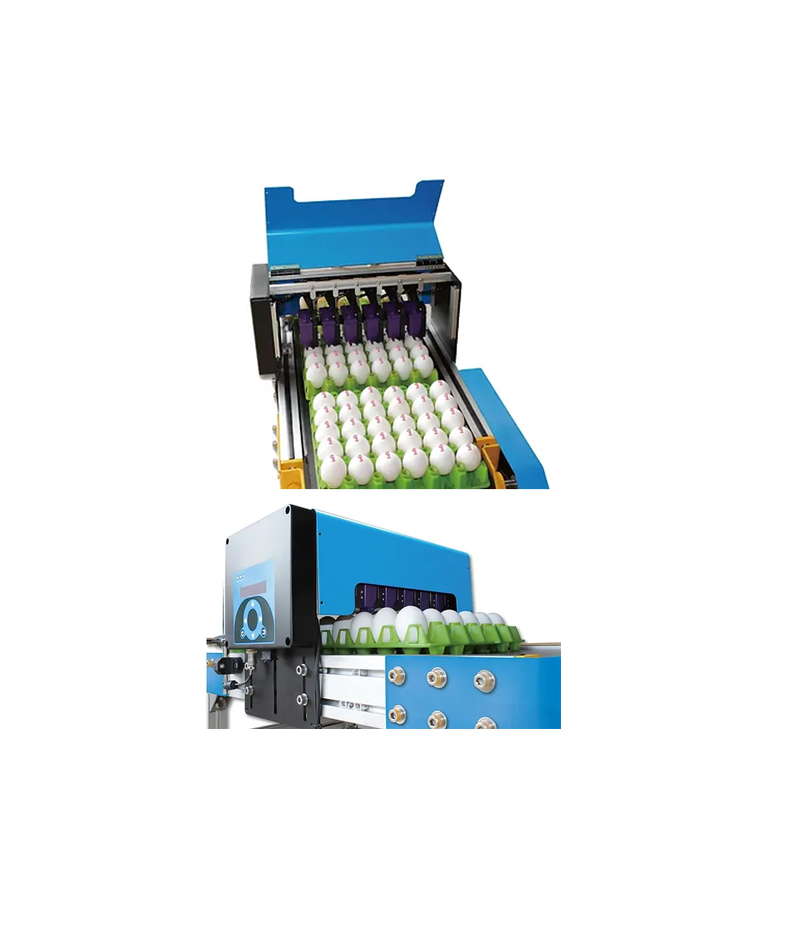 DJ-800-Egg-Shell-Printer DJ 800 Egg Shell Printer