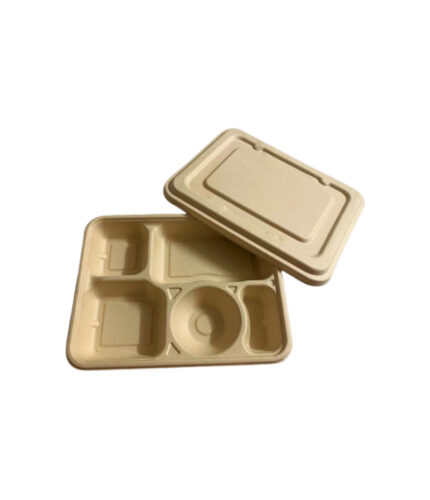 Square Containers -5 Compartment