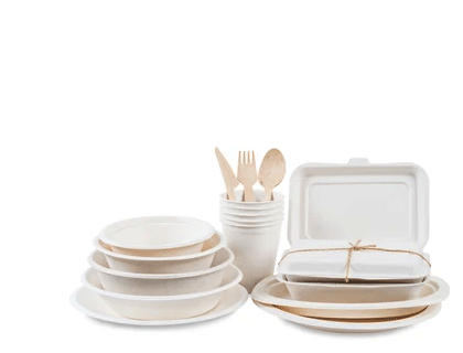 Bagasse Products