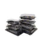 sushi tray with lid